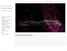 Tablet Screenshot of labandanegra.net